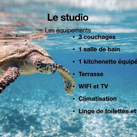 Studio Hippocampe P&V Sainte-Luce Eksteriør bilde