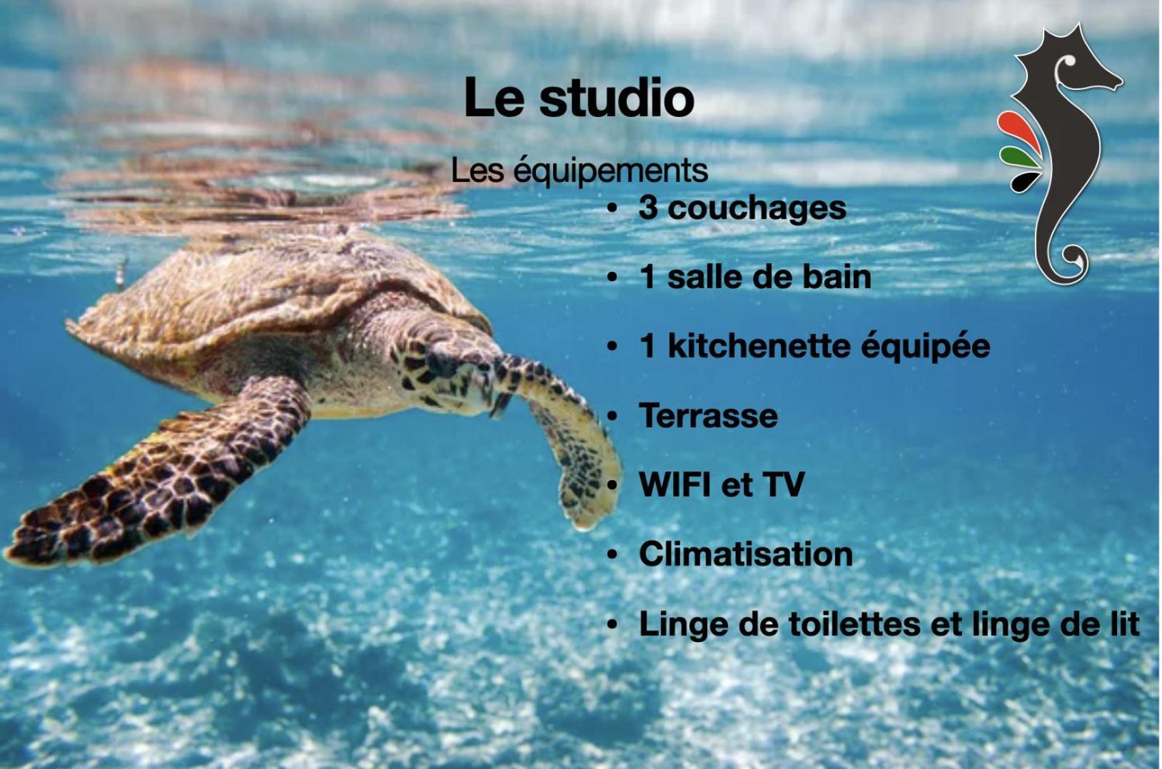 Studio Hippocampe P&V Sainte-Luce Eksteriør bilde
